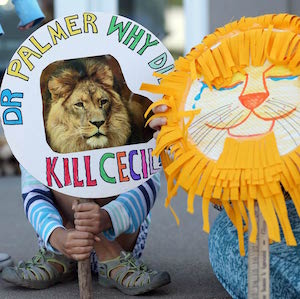 Cecil the Lion