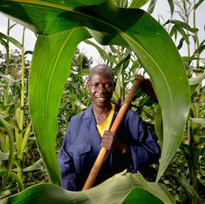 Land reform