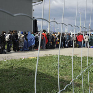 Migration