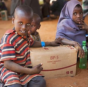 International Committee of the Red Cross