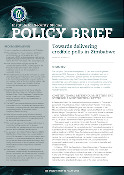 Policy Brief 41