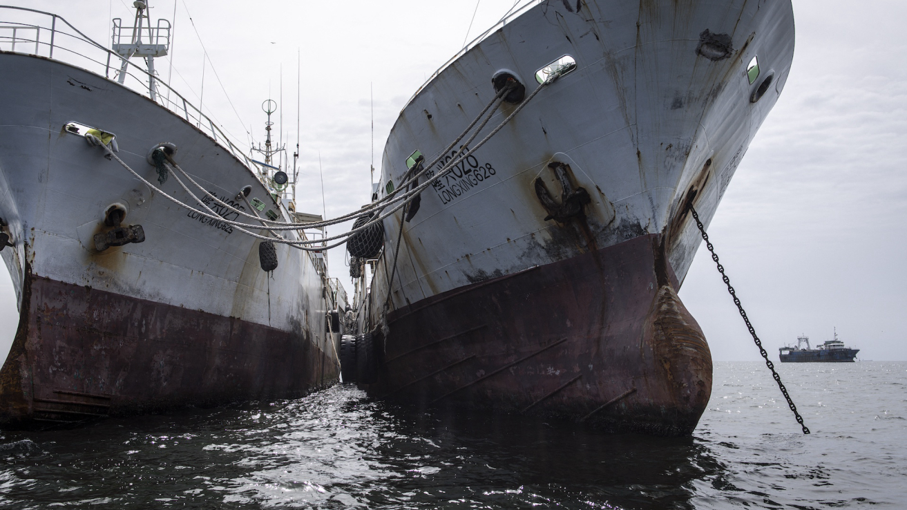 Africa must not miss the boat on the WTO fishing subsidies deal – ISS Africa