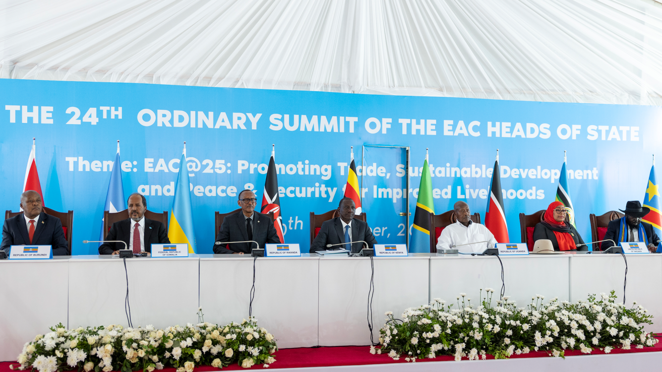 Somalia in the East African Community: opportunities and challenges