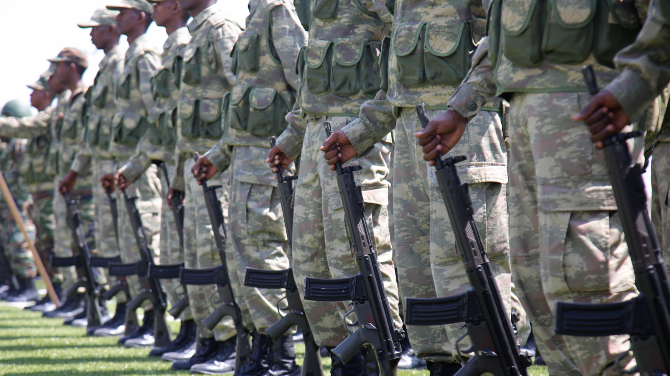 Could Africa's youth bulge help fill Europe's military ranks?