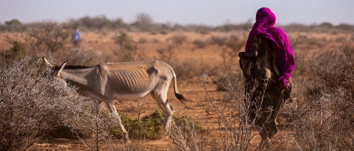 Understanding Africa’s climate and human security risks | ISS Africa