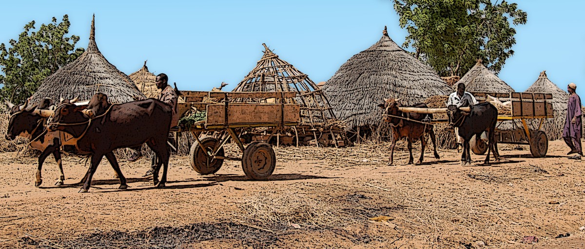 Lake Chad Basin: socio-economic resilience in the shadow of Boko Haram ...